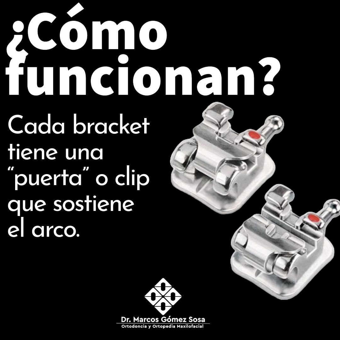 Marcos Gómez Sosa-52