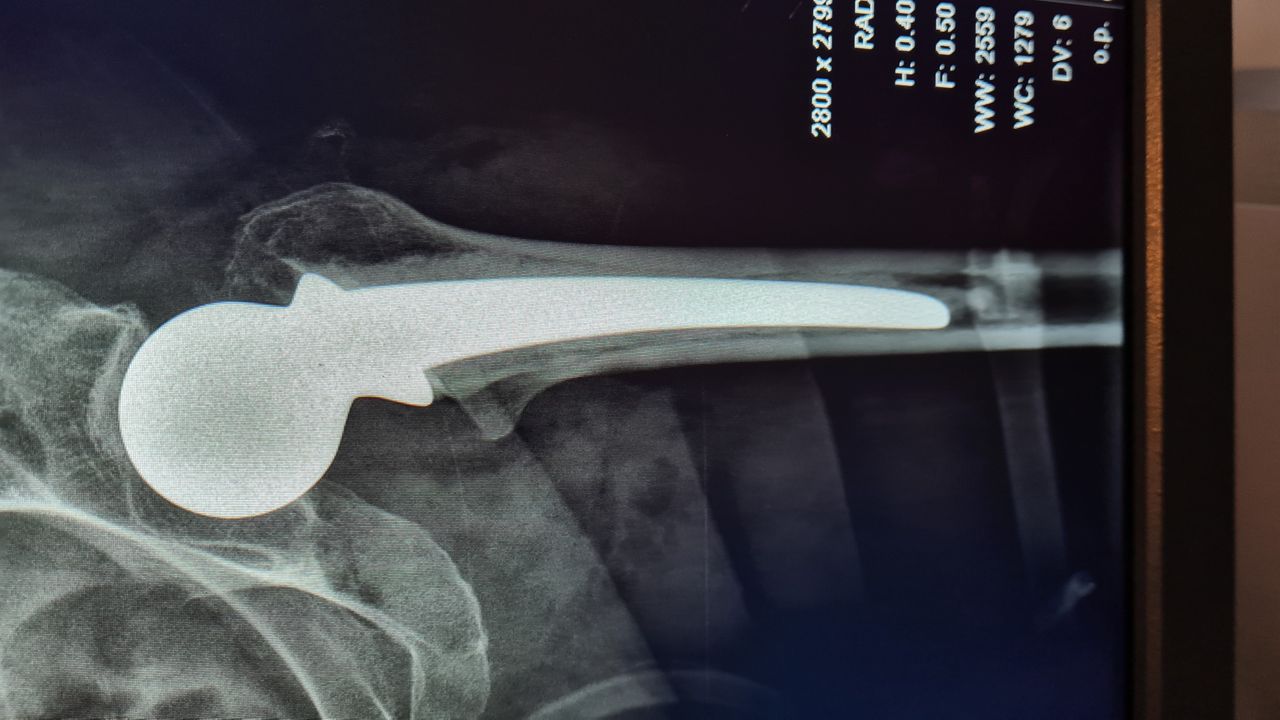 Guillermo Galaz  Portillo-10