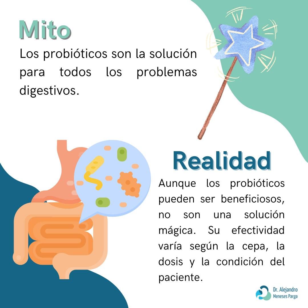 Alejandro Meneses Parga-77