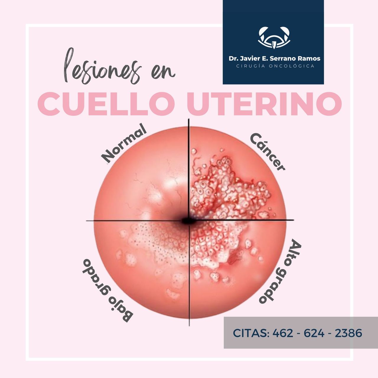 Javier Enrique Serrano Ramos-5