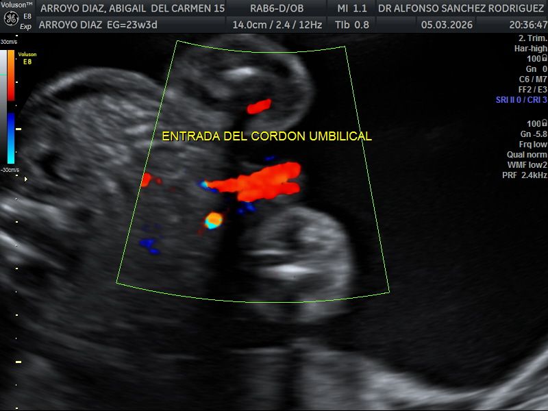 Alfonso Sanchez Rodriguez-68