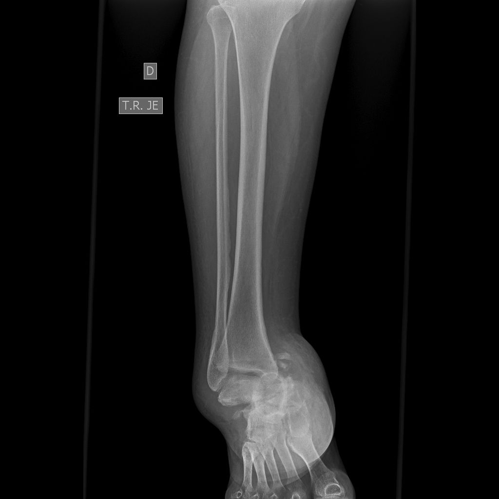 Rafael Medina Gutiérrez-4