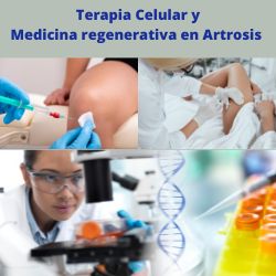 Rey Armando Cárdenas Acuña-5