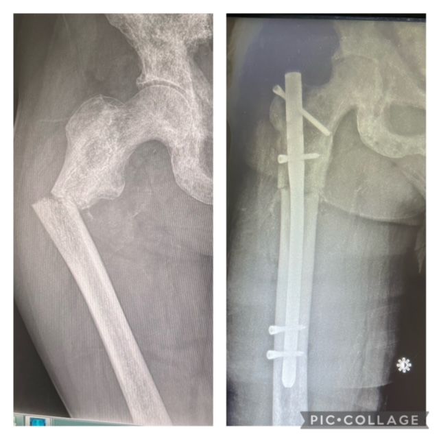 José Danao Márquez Robles-25