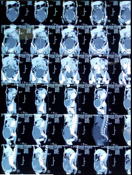 Eduardo Mariano González Gállego-8