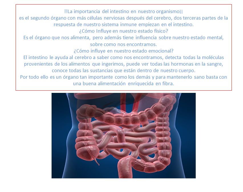 Alma Delia Duran Verde-8