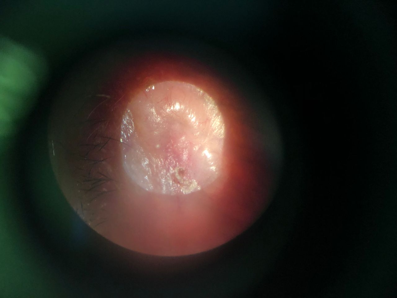 Azucena Aideé Mendoza Mayén-6