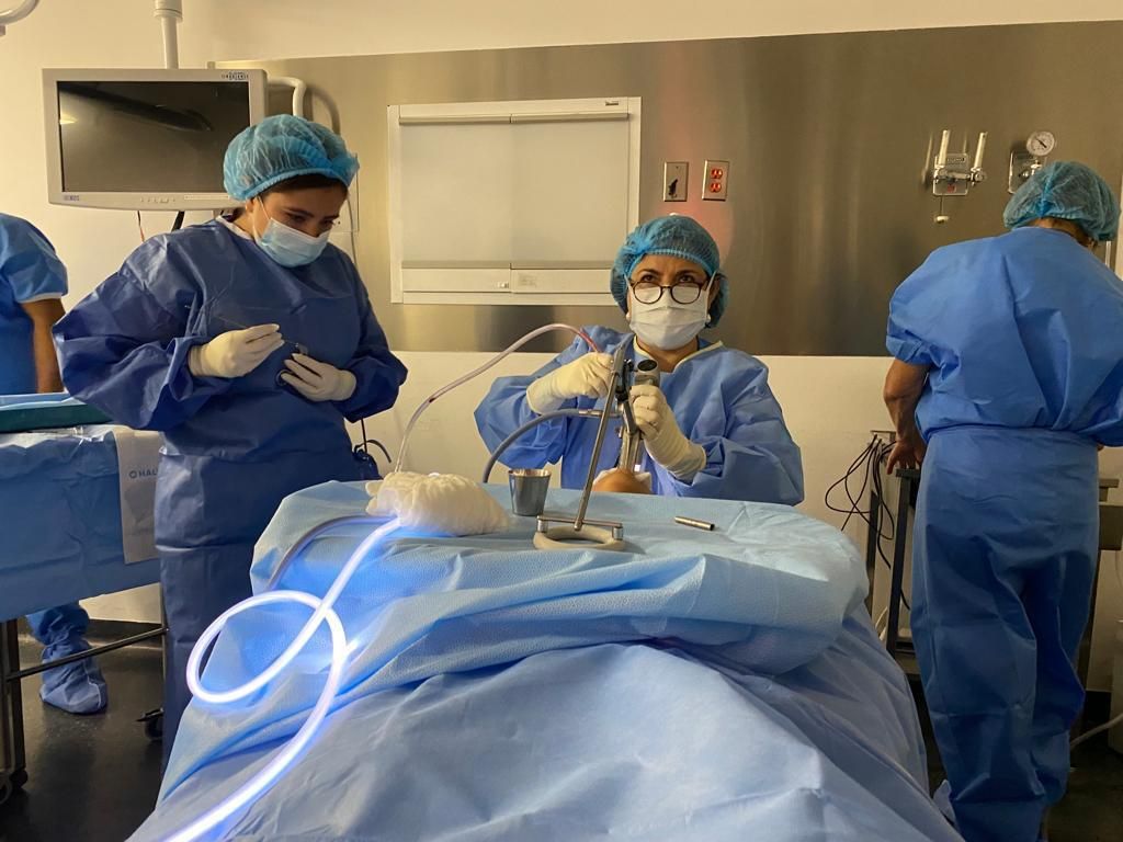 Nuria Esperanza Boronat Echeverria-6