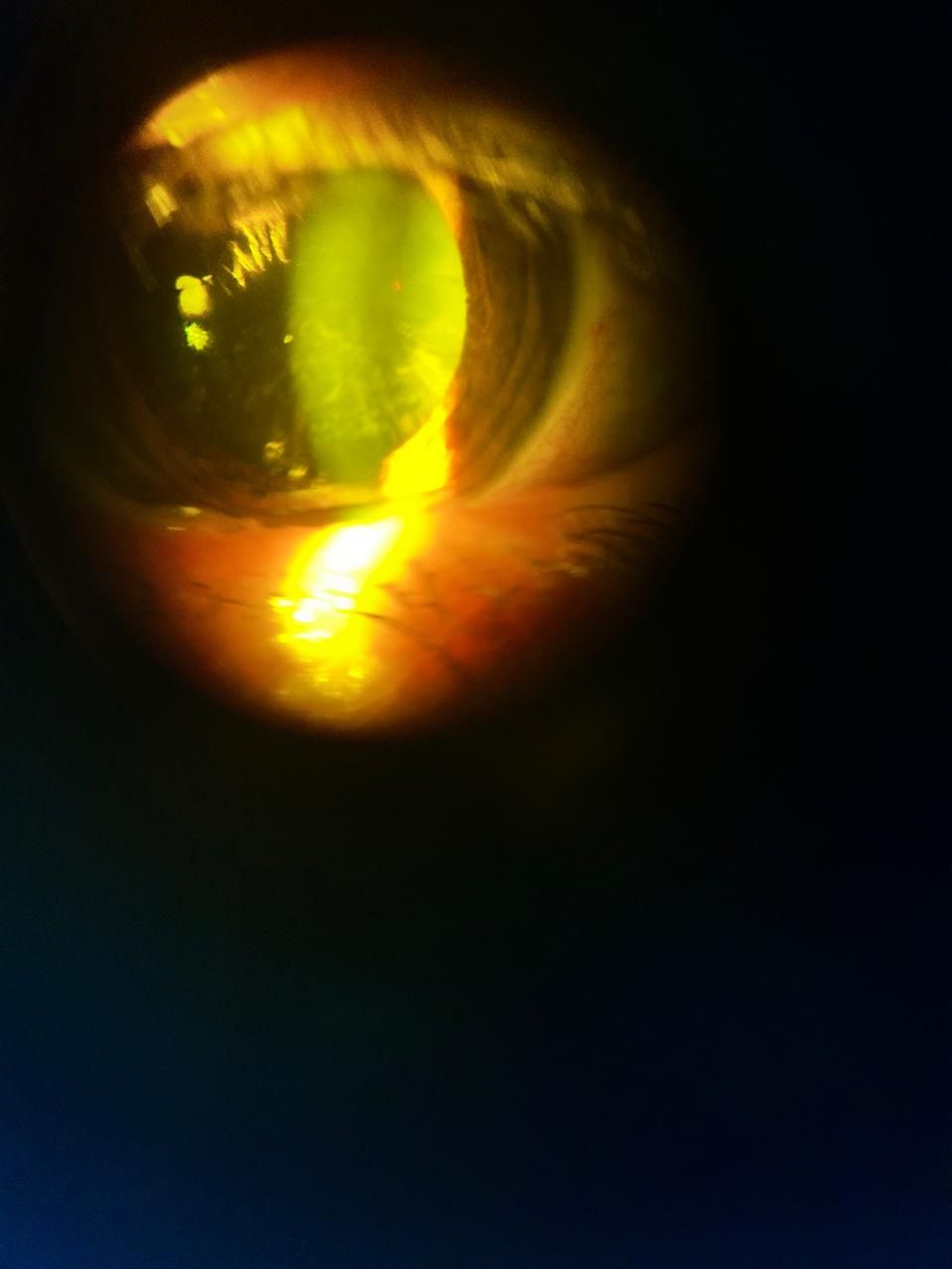 Daniel Martin Laguna Muñoz-40