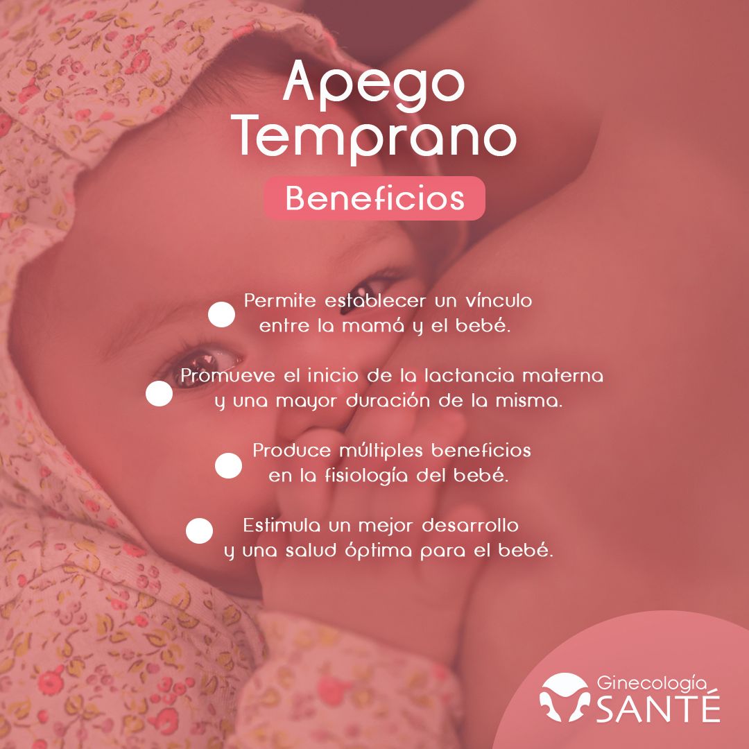 Miguel Angel Vargas García-1