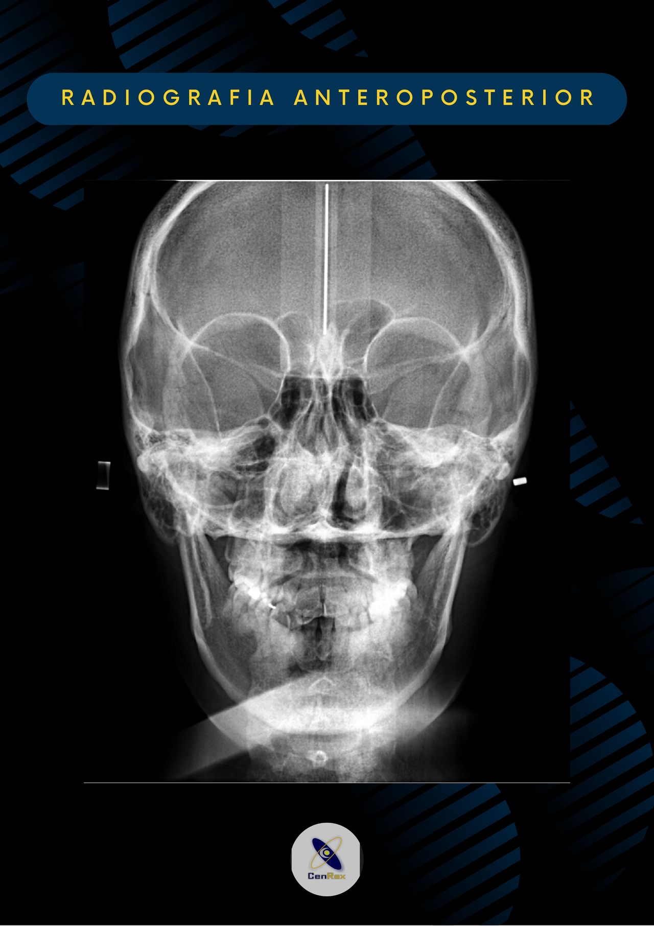 Lizbeth Rodríguez Capetillo-23