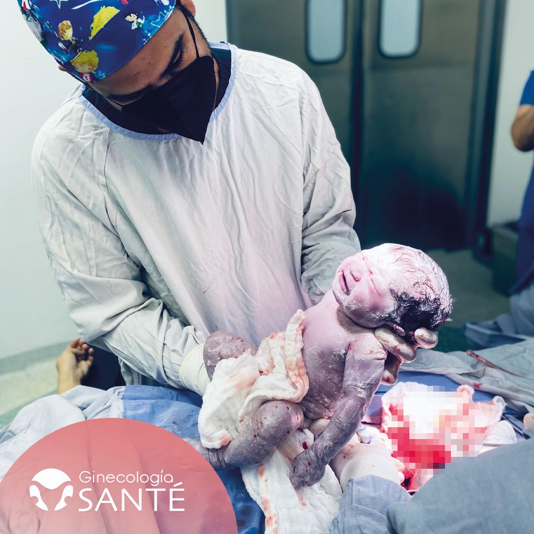 Miguel Angel Vargas García-0