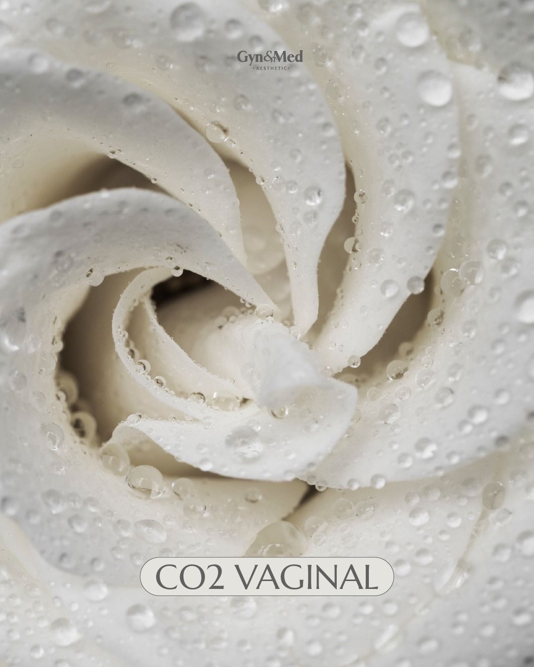 Alejandro Morales-23