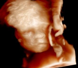 Miguel Franco Estrada-10