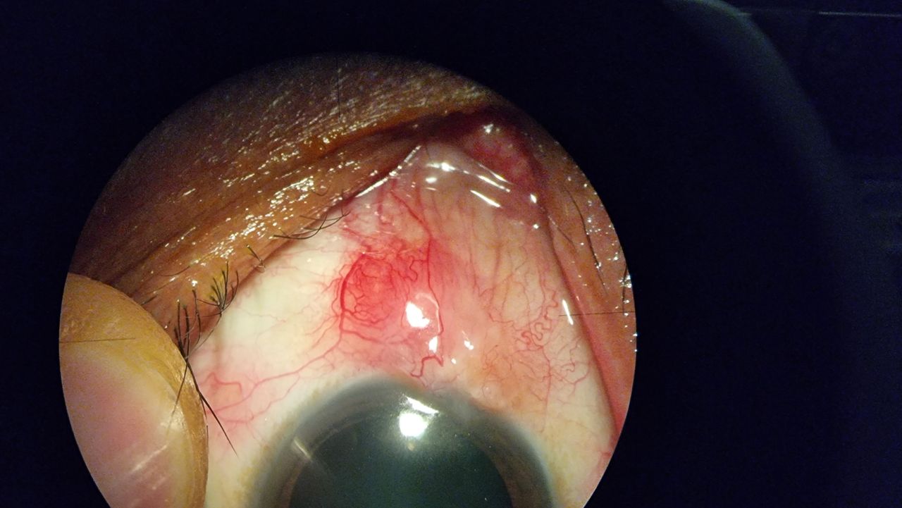 Iliana Peñaloza Román-4