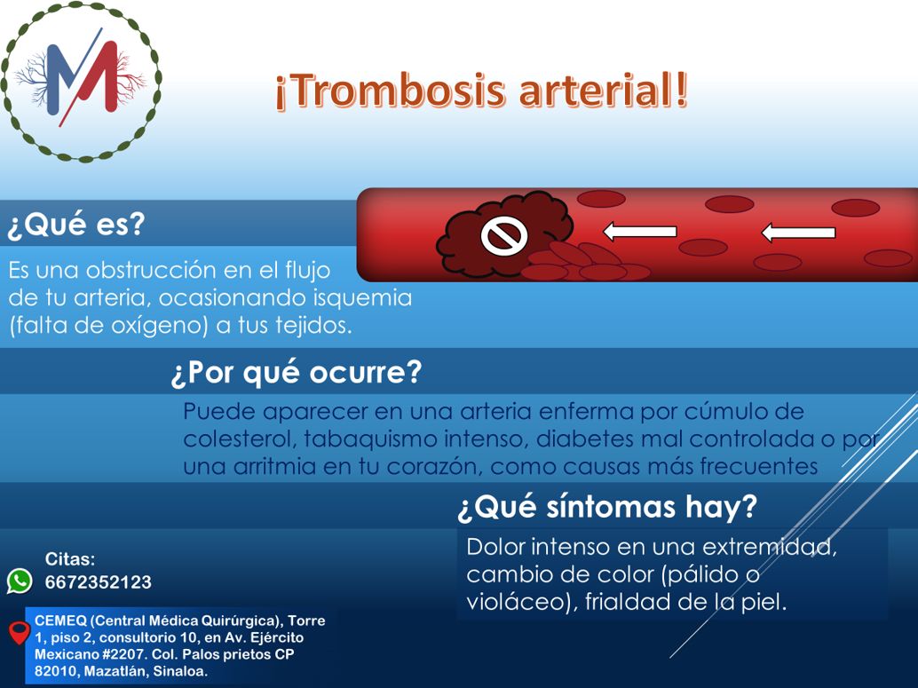 Mónica María Páez Sánchez-2