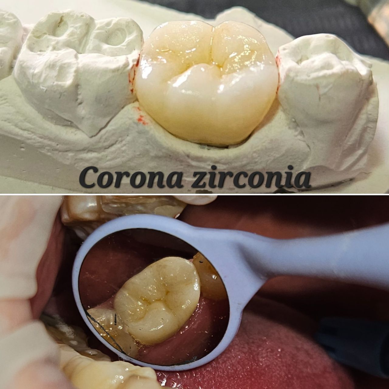 Paulina Hernandez Suarez-0