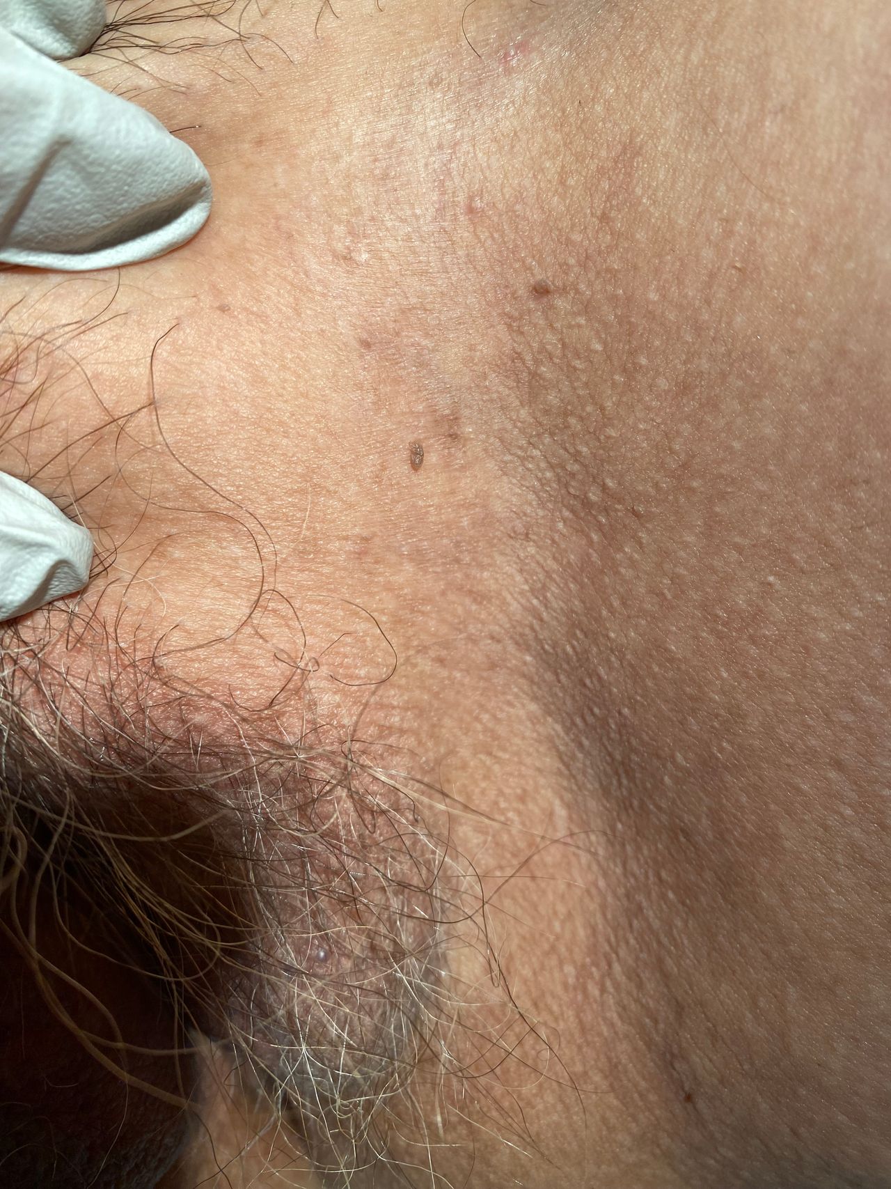 Lilia Gutierrez Franco-8