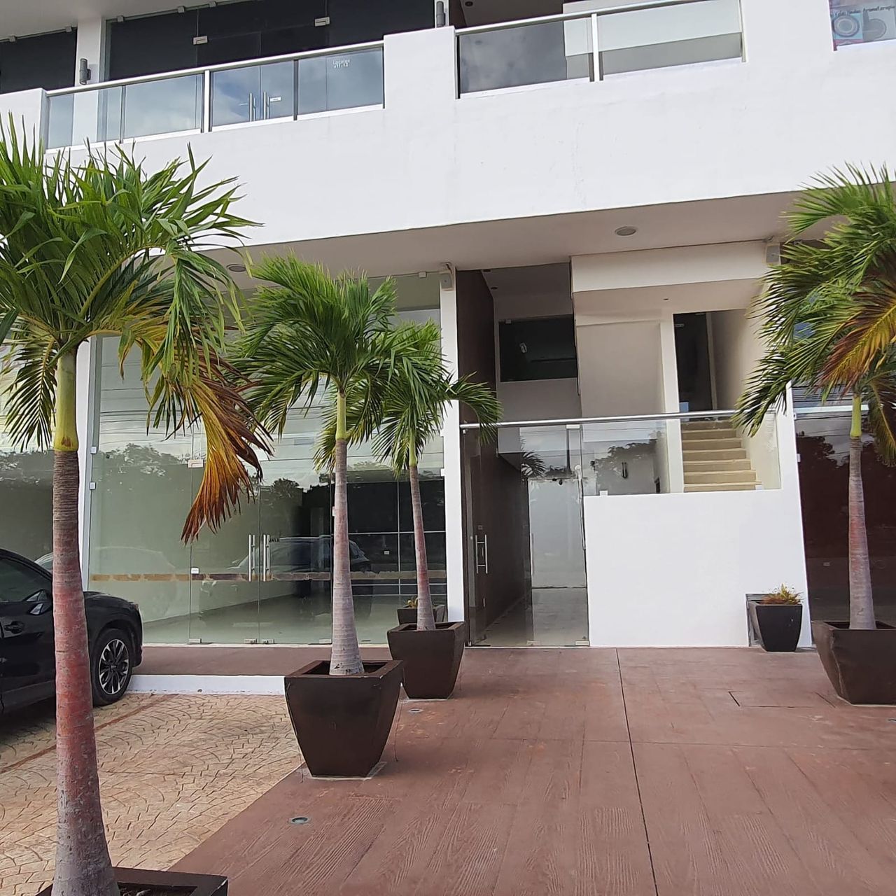 Ivonne Diaz Blanco-11