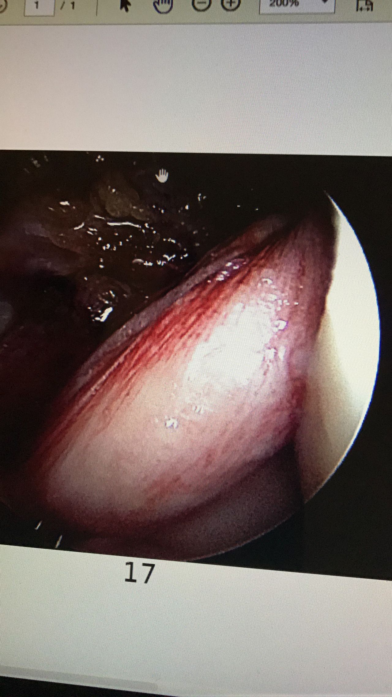 Juan Manuel Viruega Avalos-11