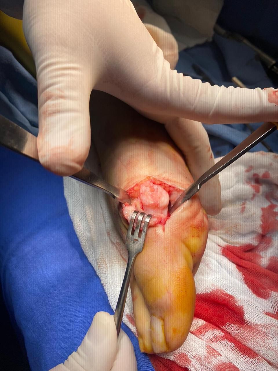 Carlos Horacio Sanchez Rodrigo-10