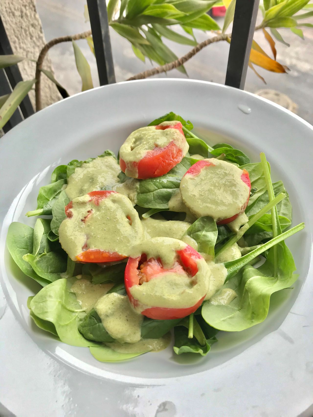 Caty Aragón García-7