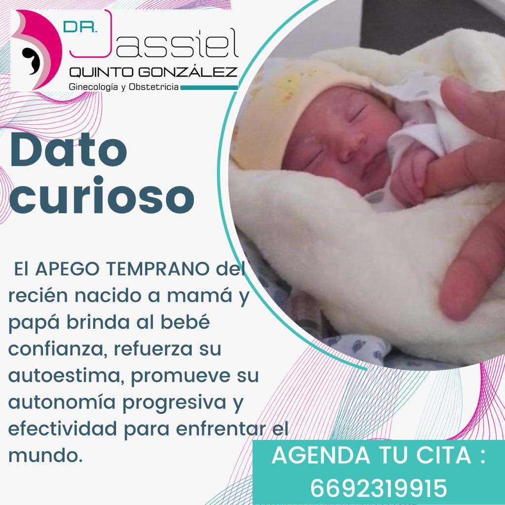 Jose Jassiel Quinto Gonzalez-12