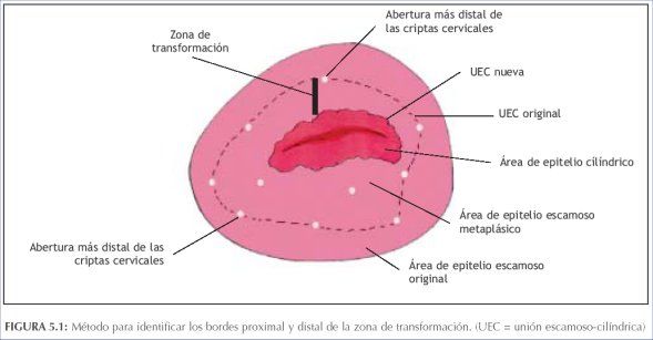 Guadalupe Muñoz Castro-115