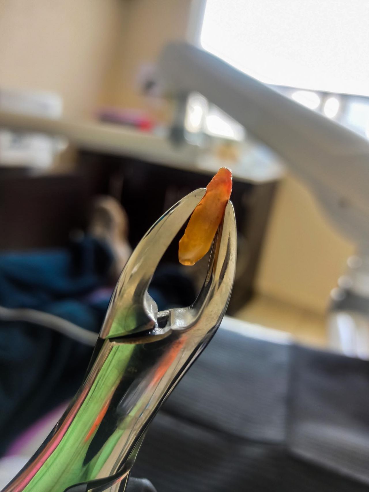 Mayan Camacho Villafuerte-22