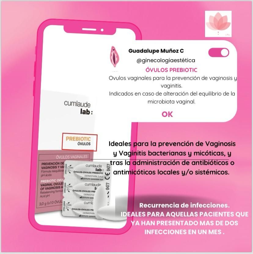 Guadalupe Muñoz Castro-3