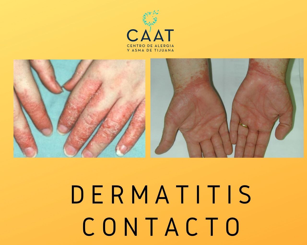 Claudia Ivonne Gallego Corella-4