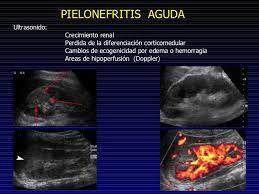 Joaquin Sosa Hernandez-0