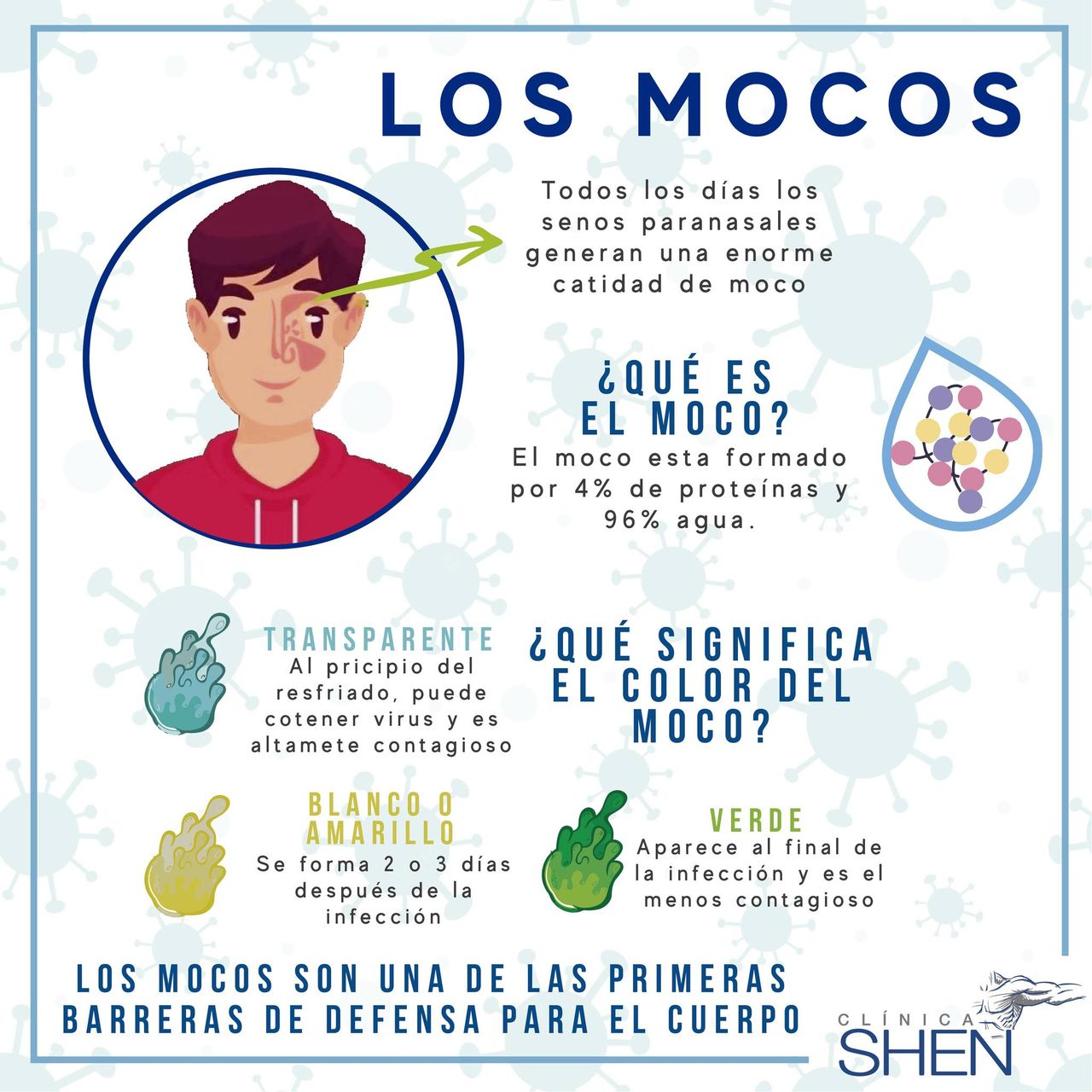 Pablo Alvear López-2