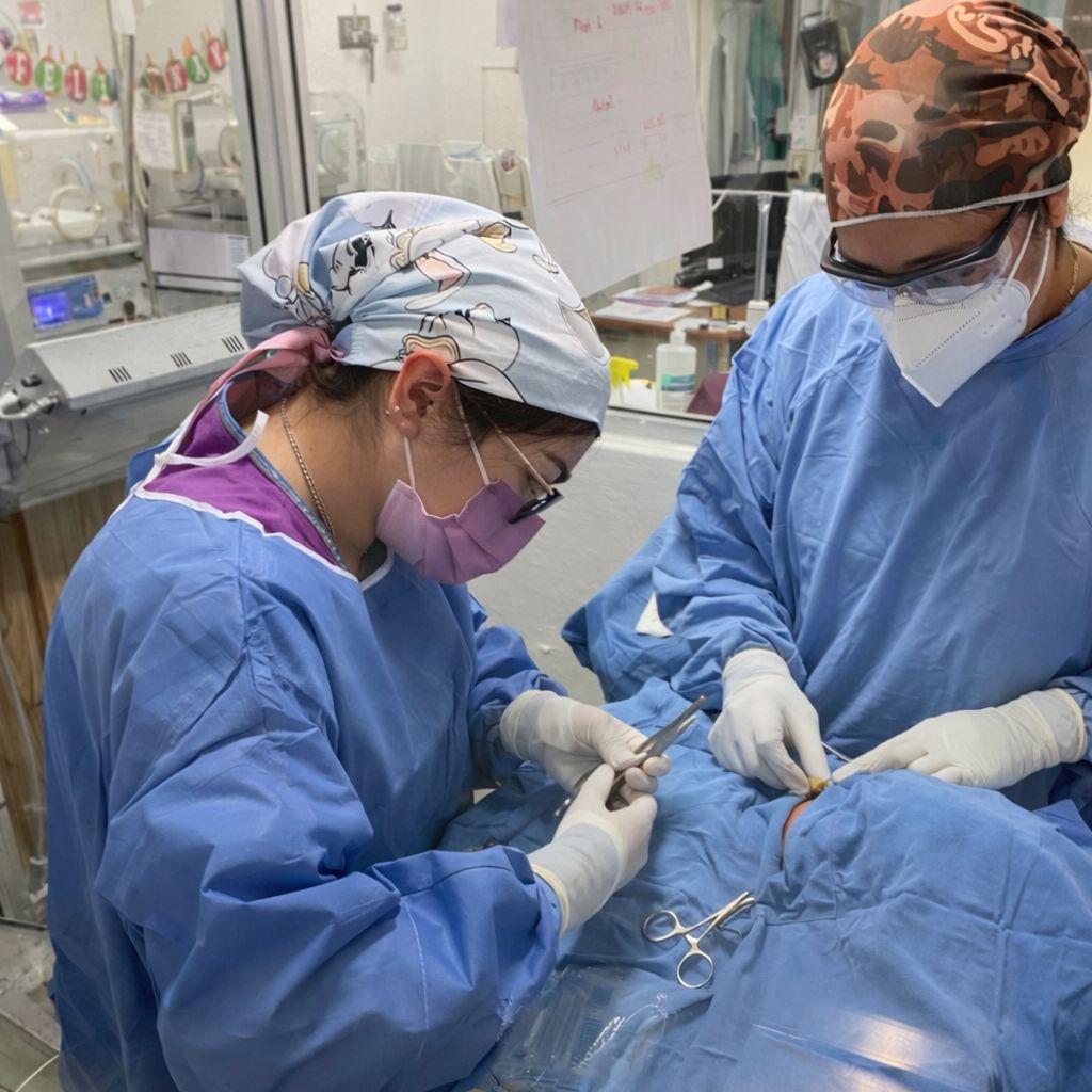 Susana Itzel Guzmán Maldonado-1