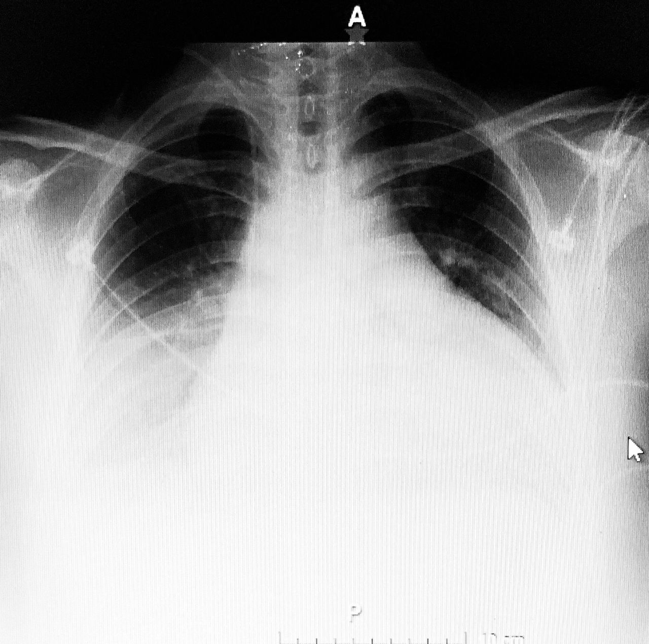 Héctor González Godínez-8