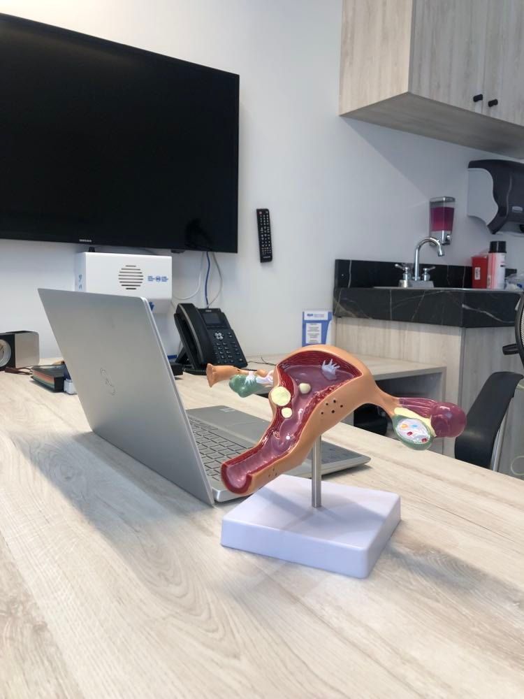 Perla Amarilis Gamboa Piña-4