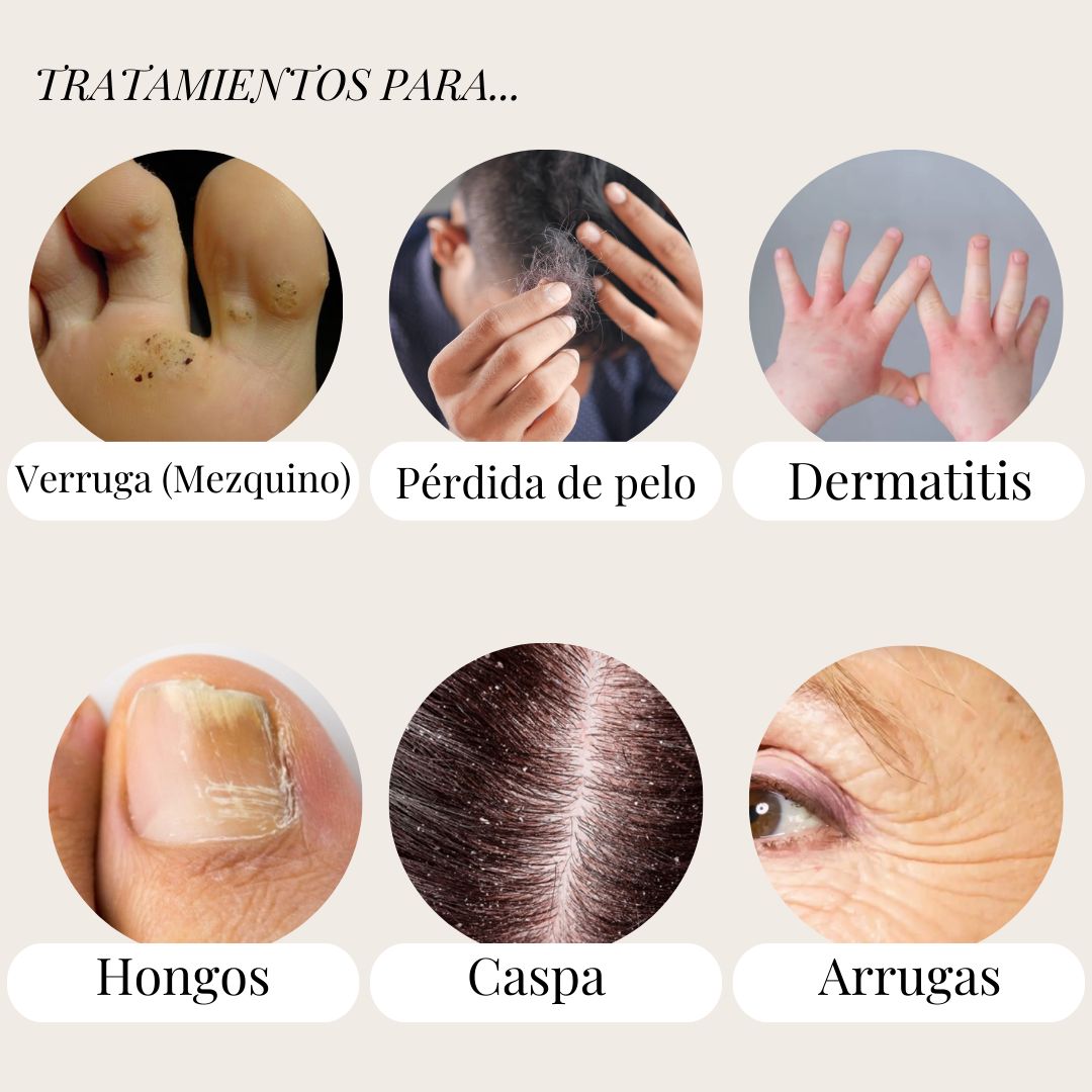 Karen Lizette Cerda Contreras-9