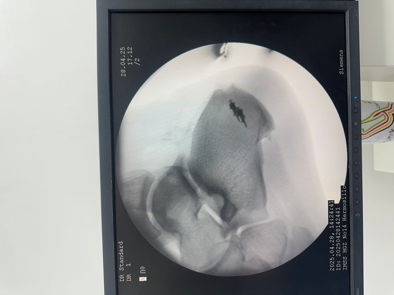 Emmanuel Benitez Biebrich-0