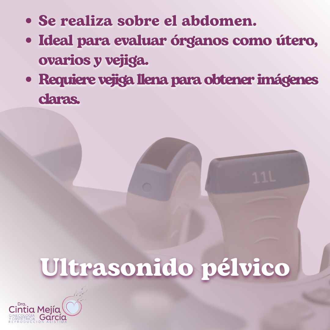 Cintia Mejia Garcia-8