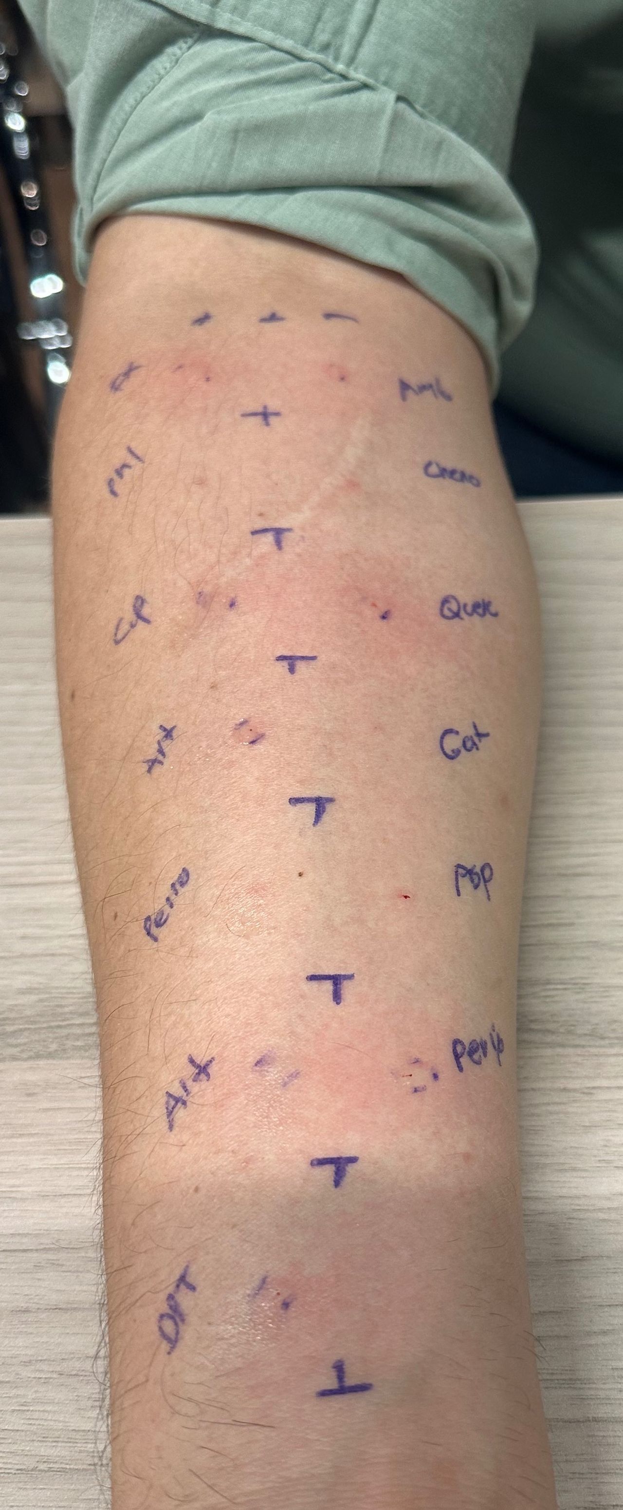 Ana Laura Moctezuma Tovar-0