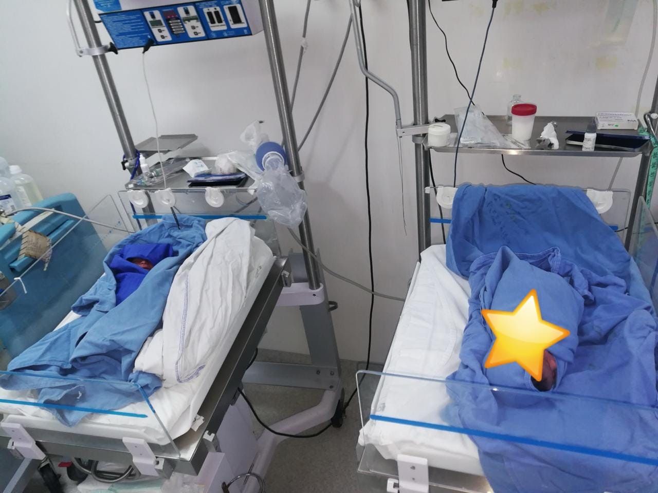 Margarita  Hernández Guzmán -6