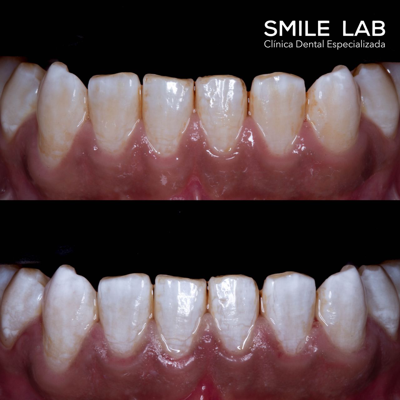 Ana Lorena Maldonado Munguia-4