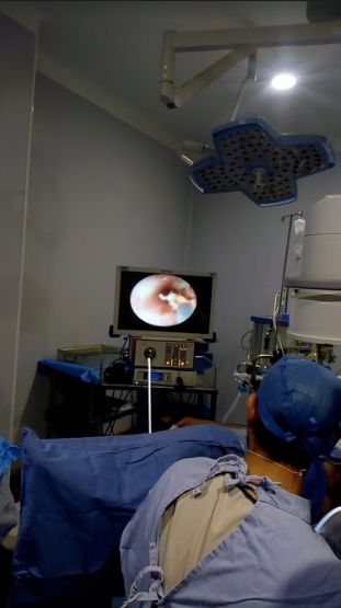 Javier Antonio Herrera Muñoz-0