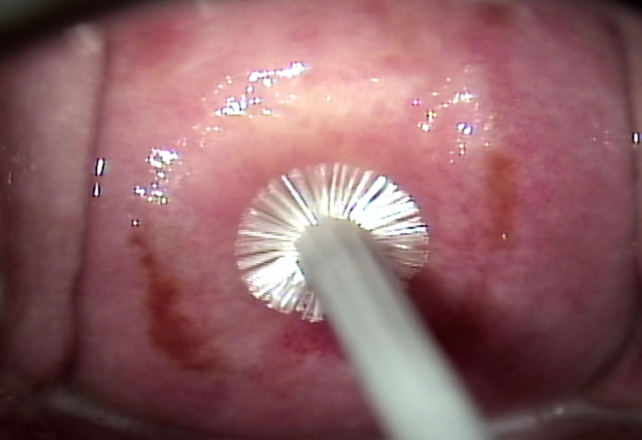 Mario López Franco-8