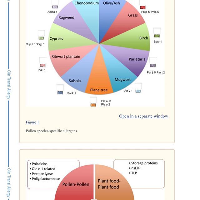 Roberto Vladimir Cuen Meza-25