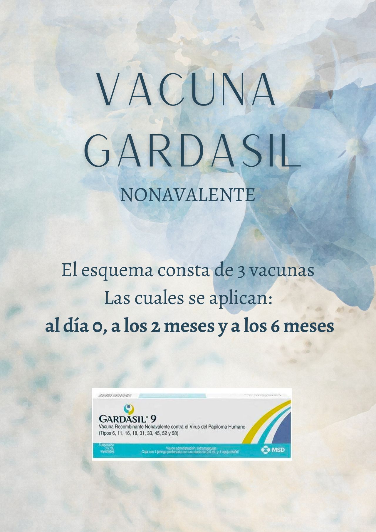 Ana Karen Castañeda Solis-18