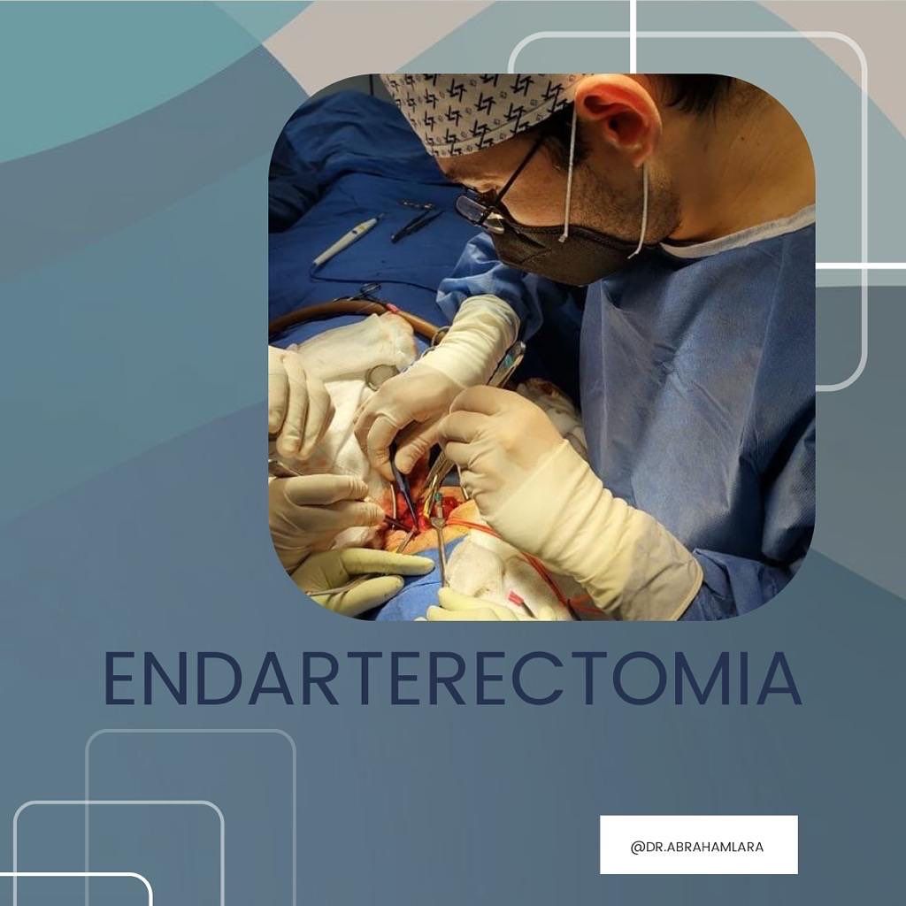 Miguel Abraham Lara Perez-18