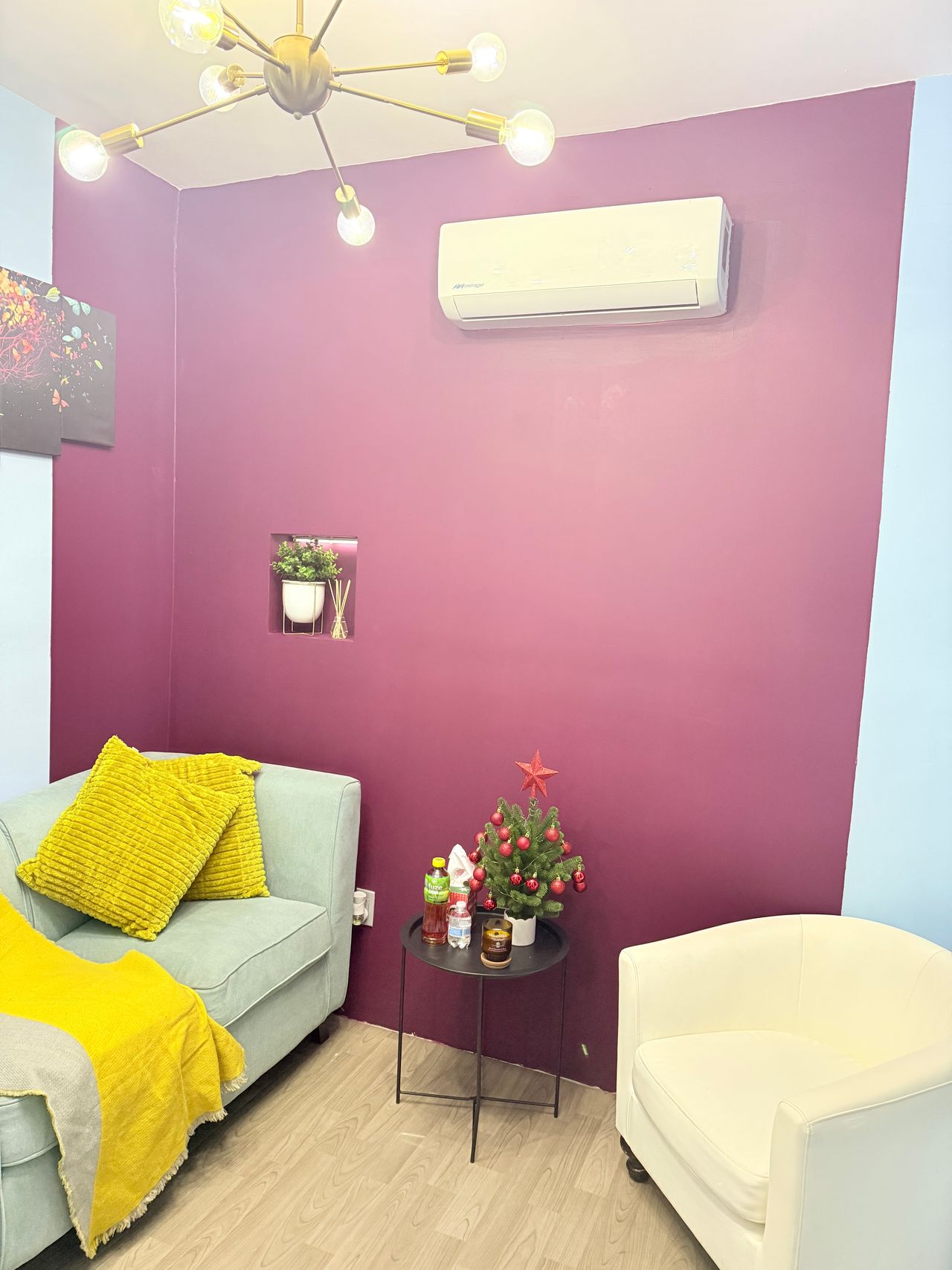 Antonio Junior Ibarra Salas-3