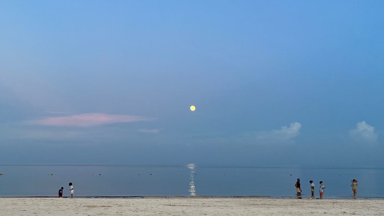 Horacio Contreras Colín-3