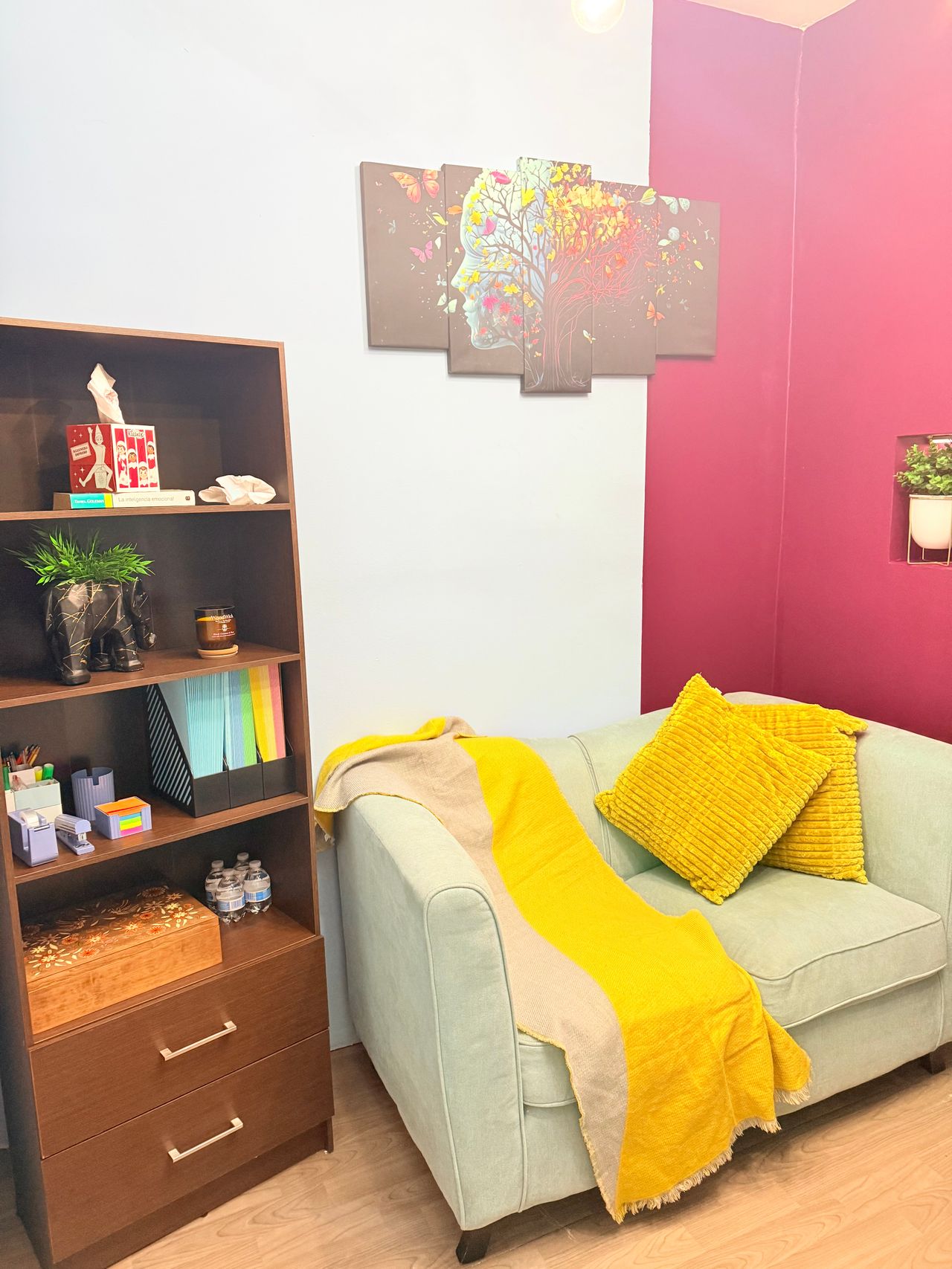 Antonio Junior Ibarra Salas-5